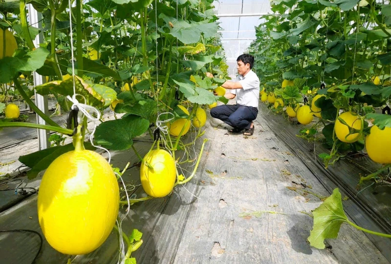 Đồng bào dân tộc Khmer vui mừng đón Tết cổ truyền Chôl Chnăm Thmây