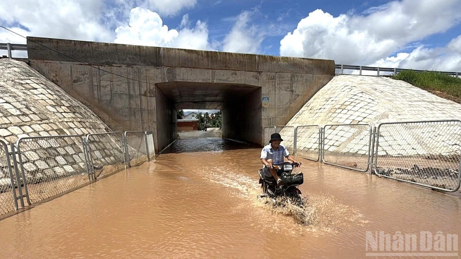 Đồng Nai chủ động ứng phó với mưa lớn, ngập úng và sạt lở đất Đồng Nai chủ động ứng phó với mưa lớn, ngập úng và sạt lở đất