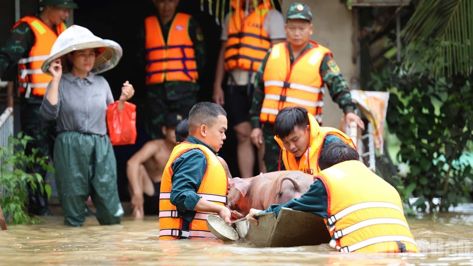 Đồng Nai chủ động ứng phó với mưa lớn, ngập úng và sạt lở đất Đồng Nai chủ động ứng phó với mưa lớn, ngập úng và sạt lở đất