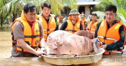 Đồng Nai chủ động ứng phó với mưa lớn, ngập úng và sạt lở đất