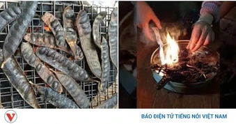 Đốt bồ kết: Thói quen dân gian và những lợi ích ít người hiểu rõ