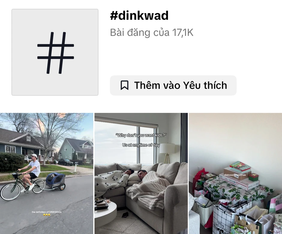 Giải mã DINKWAD: Tại sao người ta lại chọn kết hôn, nhân đôi thu nhập, không có con nhưng nuôi chó? Giải mã DINKWAD: Tại sao người ta lại chọn kết hôn, nhân đôi thu nhập, không có con nhưng nuôi chó?