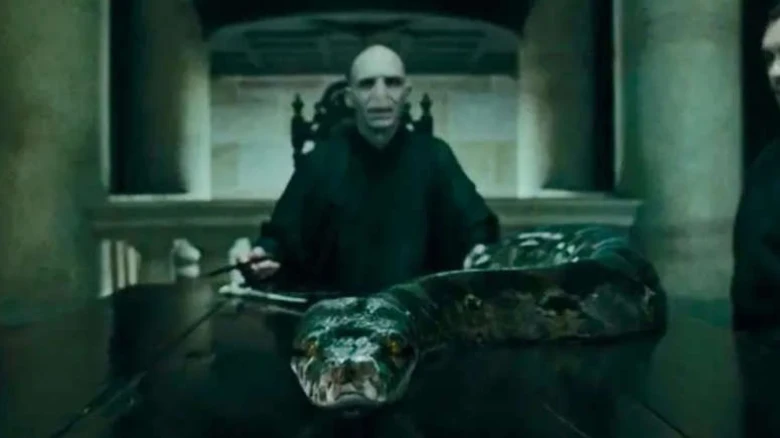 Giải mã tất cả 7 Trường Sinh Linh Giá trong Harry Potter