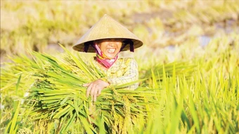 Giảm phát thải methane trong trồng trọt