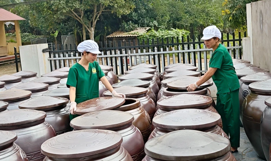 Giấm táo mèo Trạm Tấu và hành trình nâng tầm nông sản vùng cao Giấm táo mèo Trạm Tấu và hành trình nâng tầm nông sản vùng cao