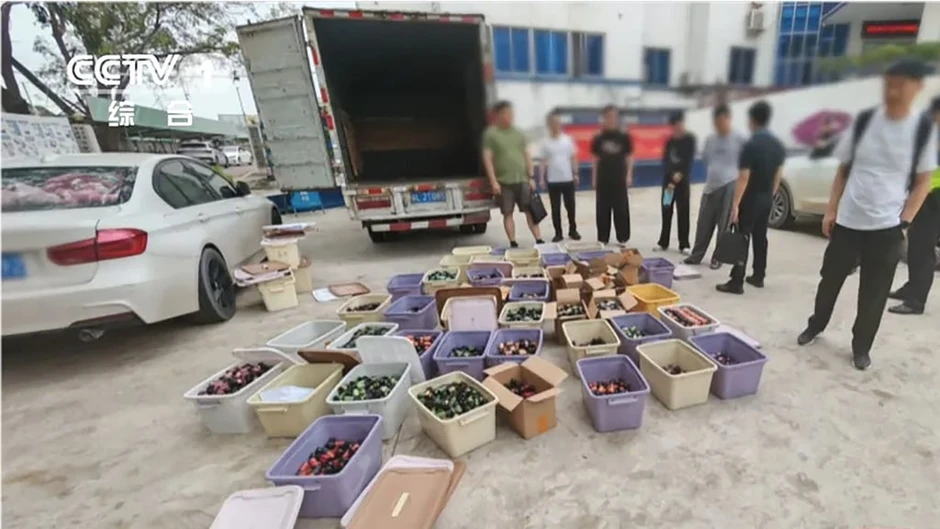 Giáo sư hóa học bị cáo buộc điều chế ma túy tại 5 thành phố Trung Quốc Giáo sư hóa học bị cáo buộc điều chế ma túy tại 5 thành phố Trung Quốc