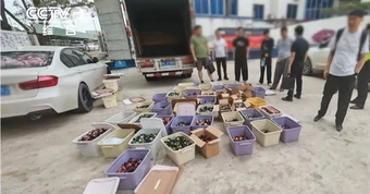 Giáo sư hóa học bị cáo buộc điều chế ma túy tại 5 thành phố Trung Quốc