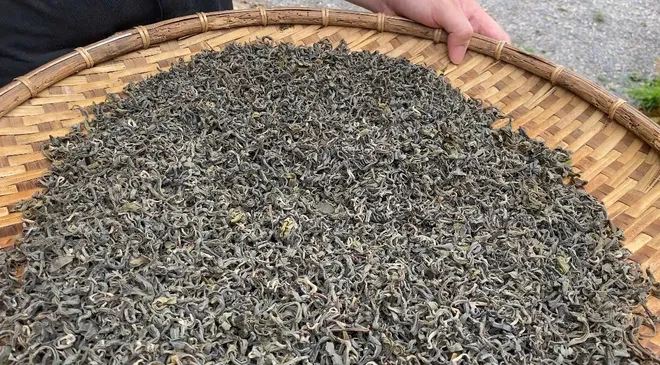 Giữ gìn văn hóa từ những lớp học dưới tán chè Shan tuyết Lào Cai Giữ gìn văn hóa từ những lớp học dưới tán chè Shan tuyết Lào Cai