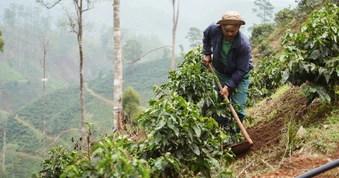 Giữ rừng từ những thay đổi trong sinh kế của người dân
