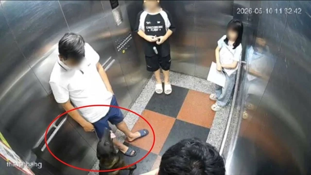 Hà Nội: Bị nhắc đeo rọ mõm cho chó, cư dân đấm gục thành viên ban quản trị chung cư, công an vào cuộc Hà Nội: Bị nhắc đeo rọ mõm cho chó, cư dân đấm gục thành viên ban quản trị chung cư, công an vào cuộc