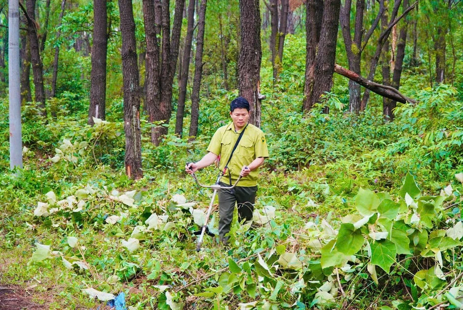 Hà Tĩnh kích hoạt mọi biện pháp phòng, chống cháy rừng mùa cao điểm Hà Tĩnh kích hoạt mọi biện pháp phòng, chống cháy rừng mùa cao điểm