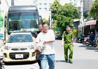 Hai du khách bẻ hơn 10kg san hô ở biển Nha Trang bị phạt 25 triệu/người