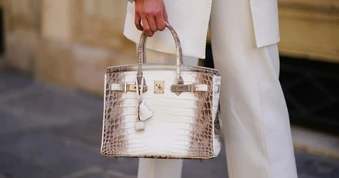 Hai túi Hermès của bà Trương Mỹ Lan đấu giá hơn 4 tỷ đồng có gì đặc biệt?