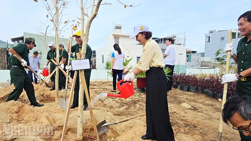 Hành trình xanh trong phát triển bền vững tại Quy Nhơn