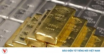 Hi hữu: Người đàn ông vứt bỏ nhầm 20 thỏi vàng vào thùng rác công cộng