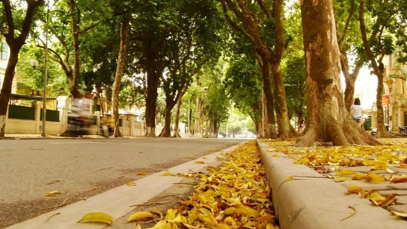 Hôm nay vào tiết lập Thu 2026: Thời tiết sẽ thay đổi ra sao? Hôm nay vào tiết lập Thu 2026: Thời tiết sẽ thay đổi ra sao?