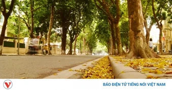 Hôm nay vào tiết lập Thu 2026: Thời tiết sẽ thay đổi ra sao?