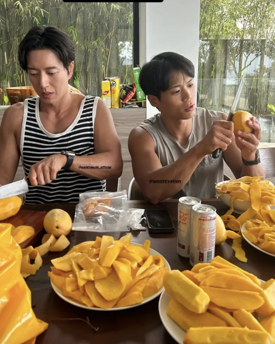 Khách Nhật ăn không ngừng 1 loại trái cây Việt chỉ vì: "Ở Nhật là 400.000 đồng 1 quả" Khách Nhật ăn không ngừng 1 loại trái cây Việt chỉ vì: "Ở Nhật là 400.000 đồng 1 quả"