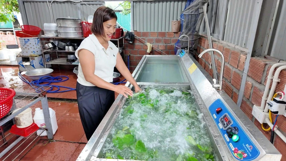 Khách ở lại do bão số 1, chủ khách sạn Quảng Ninh mổ lợn mời 50 người Khách ở lại do bão số 1, chủ khách sạn Quảng Ninh mổ lợn mời 50 người