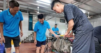 Khách ở lại do bão số 1, chủ khách sạn Quảng Ninh mổ lợn mời 50 người