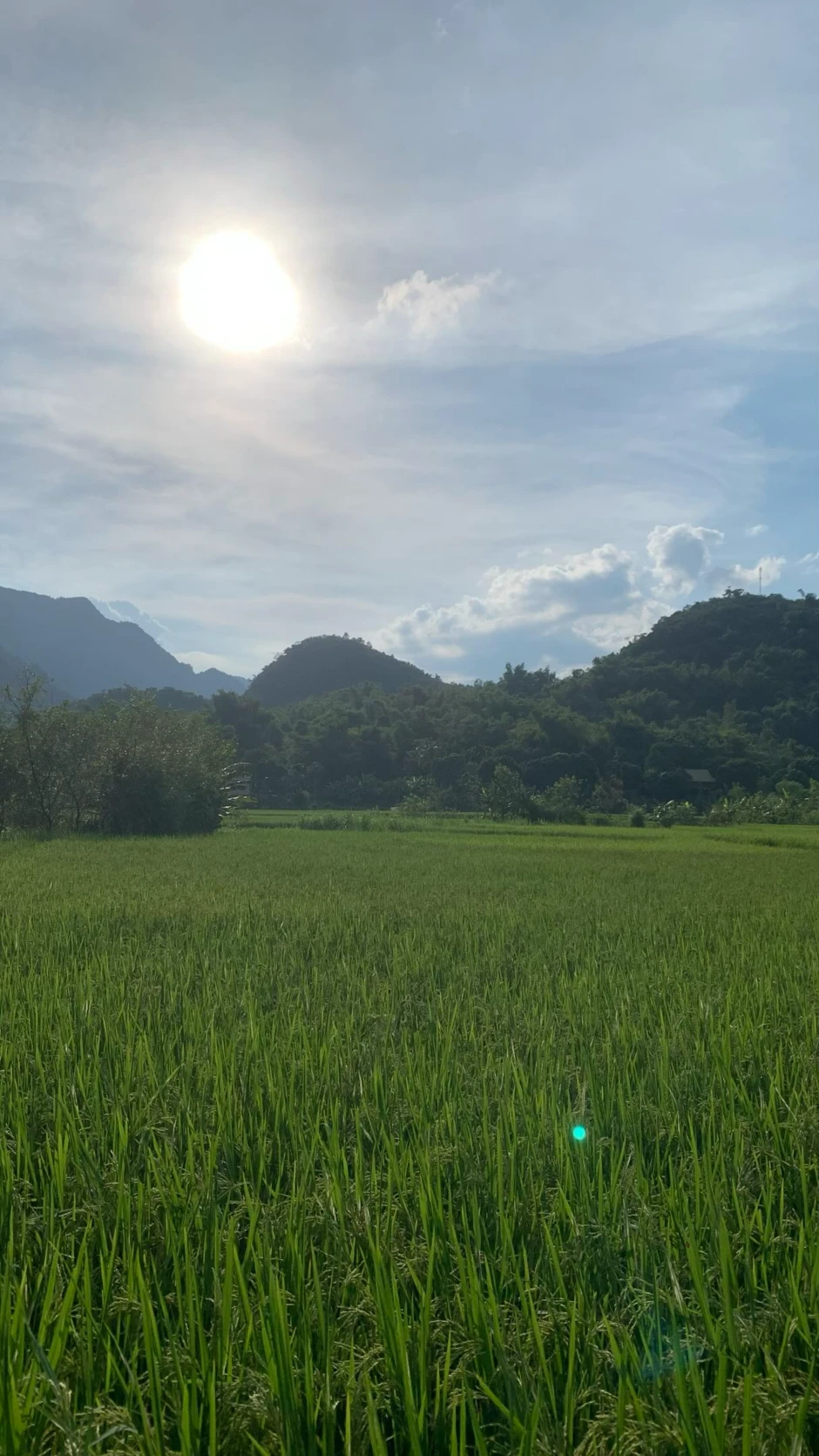 Khách Tây đang đi du lịch bỗng được "gả vợ" ở Việt Nam, netizen: Cứ đà này thì mỗi tỉnh một "cô vợ"! Khách Tây đang đi du lịch bỗng được "gả vợ" ở Việt Nam, netizen: Cứ đà này thì mỗi tỉnh một "cô vợ"!