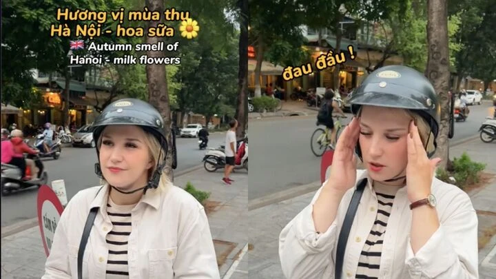 Khách Tây nghĩ sao về hương hoa sữa tại Hà Nội? Khách Tây nghĩ sao về hương hoa sữa tại Hà Nội?