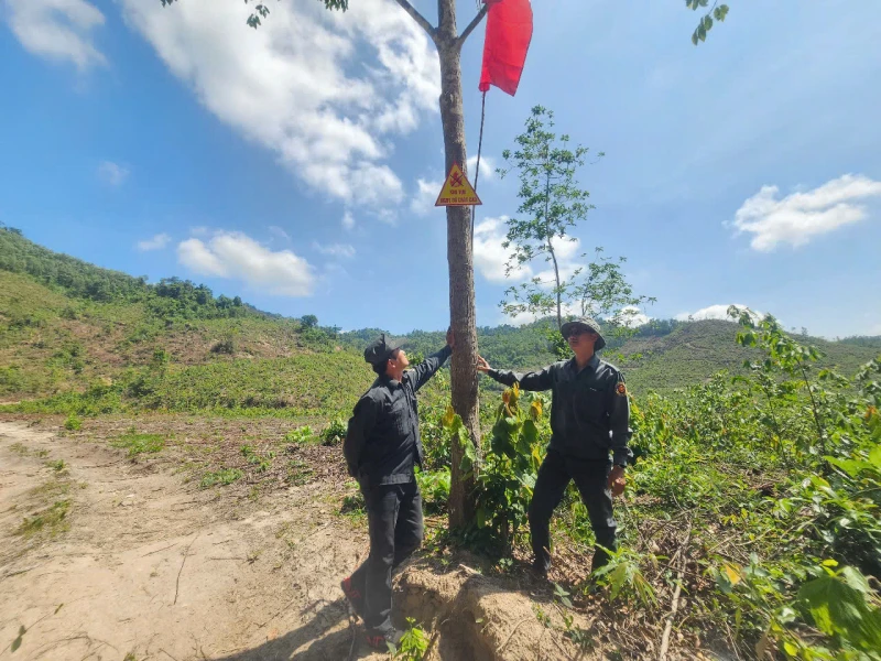 Khánh Hòa triển khai đồng bộ nhiều giải pháp phòng, chống cháy rừng Khánh Hòa triển khai đồng bộ nhiều giải pháp phòng, chống cháy rừng