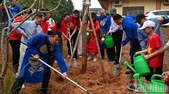 Khởi động dự án “Cung đường hoa gạo thắp sáng Đền Hùng”