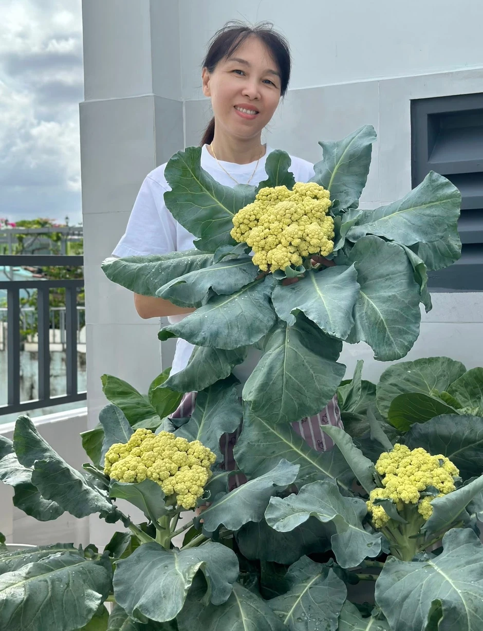 Khu vườn 40m² trên sân thượng ở TP.HCM: Rau xanh ăn quanh năm, chiều nào gia chủ cũng lên “xả stress” Khu vườn 40m² trên sân thượng ở TP.HCM: Rau xanh ăn quanh năm, chiều nào gia chủ cũng lên “xả stress”