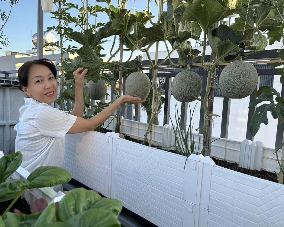 Khu vườn 40m² trên sân thượng ở TP.HCM: Rau xanh ăn quanh năm, chiều nào gia chủ cũng lên “xả stress” Khu vườn 40m² trên sân thượng ở TP.HCM: Rau xanh ăn quanh năm, chiều nào gia chủ cũng lên “xả stress”
