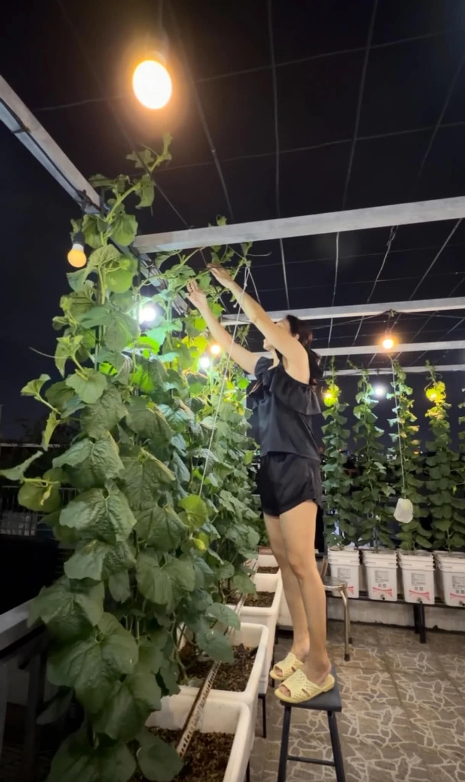 Khu vườn 40m² trên sân thượng ở TP.HCM: Rau xanh ăn quanh năm, chiều nào gia chủ cũng lên “xả stress” Khu vườn 40m² trên sân thượng ở TP.HCM: Rau xanh ăn quanh năm, chiều nào gia chủ cũng lên “xả stress”