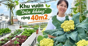 Khu vườn 40m² trên sân thượng ở TP.HCM: Rau xanh ăn quanh năm, chiều nào gia chủ cũng lên “xả stress”