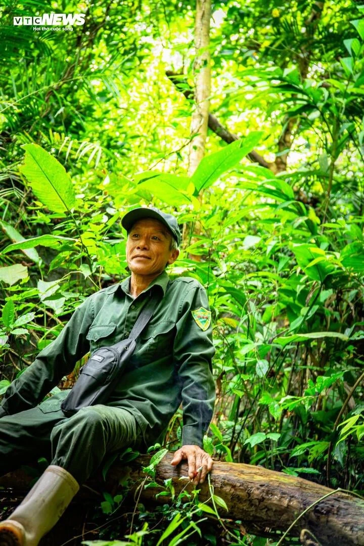 Lạc giữa đại ngàn đất mỏ Quảng Ninh, chạm vào ‘báu vật xanh’ hàng trăm năm tuổi Lạc giữa đại ngàn đất mỏ Quảng Ninh, chạm vào ‘báu vật xanh’ hàng trăm năm tuổi