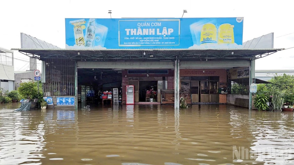 Lâm Đồng chủ động ứng phó mưa lũ