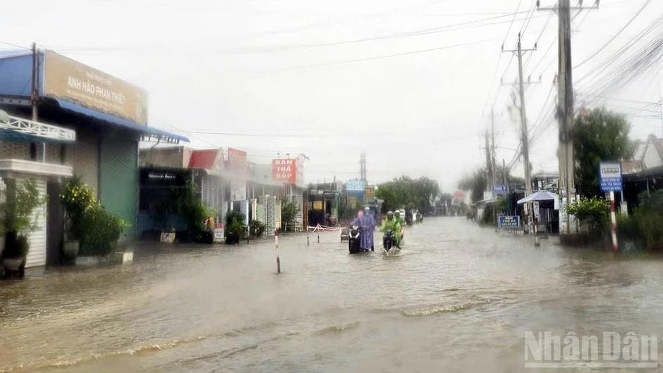 Lâm Đồng chủ động ứng phó mưa lũ