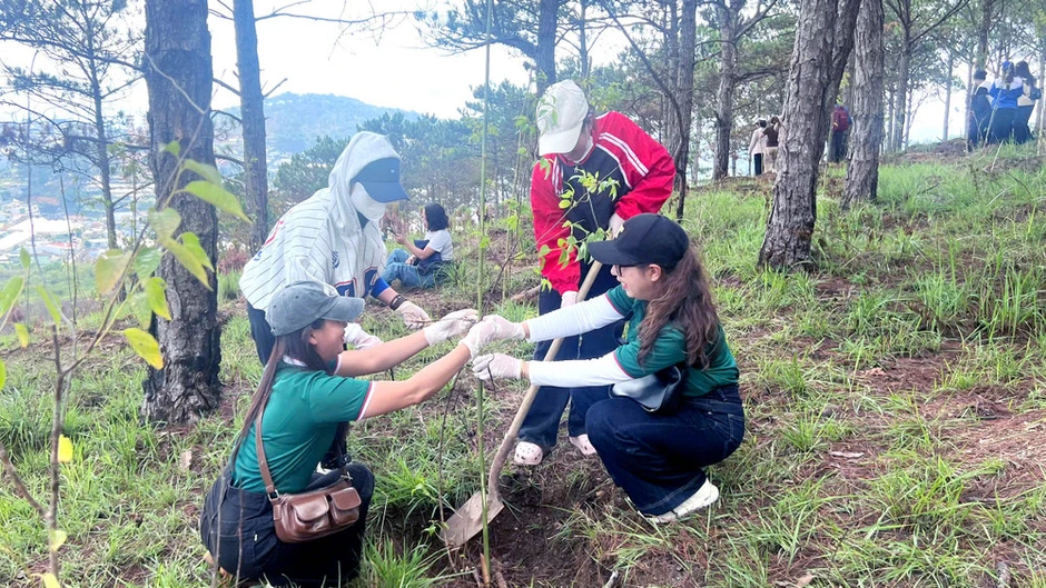 Lâm Đồng: Đồng loạt ra quân trồng cây mai anh đào kỷ niệm ngày sinh nhật Bác tại phường Xuân Trường-Đà Lạt Lâm Đồng: Đồng loạt ra quân trồng cây mai anh đào kỷ niệm ngày sinh nhật Bác tại phường Xuân Trường-Đà Lạt