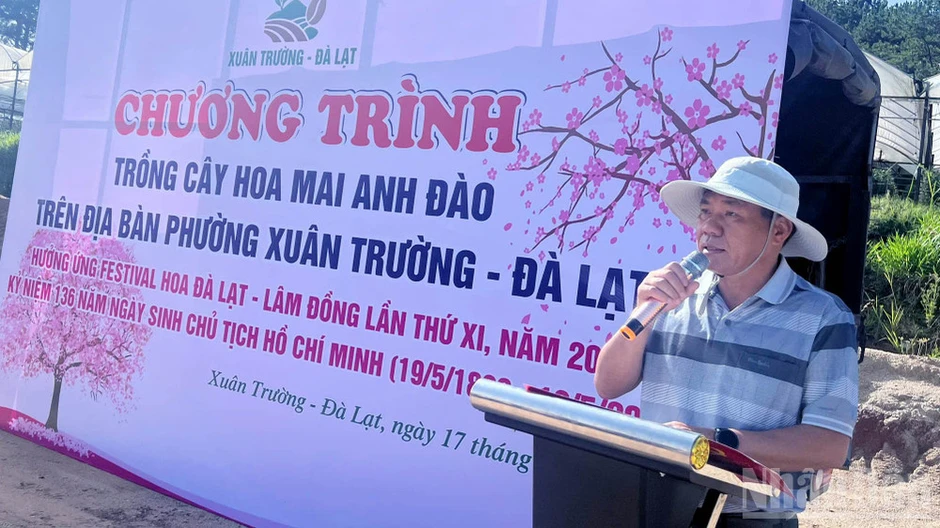 Lâm Đồng: Đồng loạt ra quân trồng cây mai anh đào kỷ niệm ngày sinh nhật Bác tại phường Xuân Trường-Đà Lạt Lâm Đồng: Đồng loạt ra quân trồng cây mai anh đào kỷ niệm ngày sinh nhật Bác tại phường Xuân Trường-Đà Lạt
