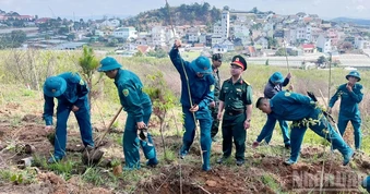 Lâm Đồng: Đồng loạt ra quân trồng cây mai anh đào kỷ niệm ngày sinh nhật Bác tại phường Xuân Trường-Đà Lạt