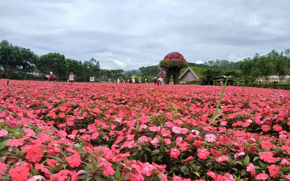 Lâm Đồng mở rộng kích cầu, hướng đến tăng trải nghiệm và chi tiêu du lịch Lâm Đồng mở rộng kích cầu, hướng đến tăng trải nghiệm và chi tiêu du lịch