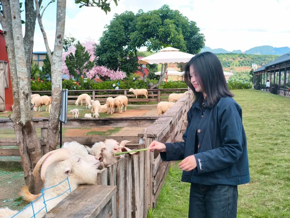 Lâm Đồng mở rộng kích cầu, hướng đến tăng trải nghiệm và chi tiêu du lịch Lâm Đồng mở rộng kích cầu, hướng đến tăng trải nghiệm và chi tiêu du lịch