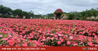 Lâm Đồng mở rộng kích cầu, hướng đến tăng trải nghiệm và chi tiêu du lịch