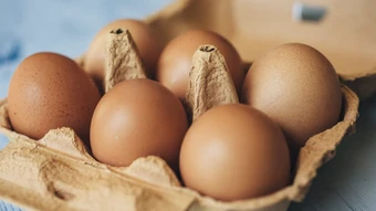 Lầm tưởng nửa thế kỷ về trứng gà vỏ nâu