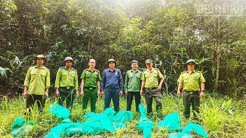 Lan tỏa thông điệp bảo tồn đa dạng sinh học từ việc tái thả 31 cá thể động vật rừng nguy cấp về tự nhiên Lan tỏa thông điệp bảo tồn đa dạng sinh học từ việc tái thả 31 cá thể động vật rừng nguy cấp về tự nhiên