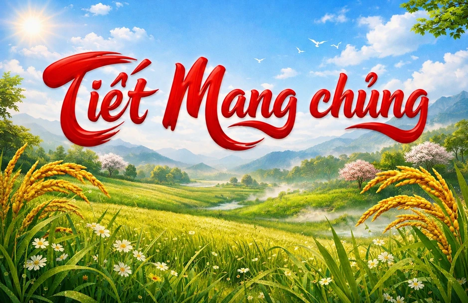 Lịch âm hôm nay 2.6: Thấy sao Tua Rua mọc, người Việt sắp đón tiết Mang chủng Lịch âm hôm nay 2.6: Thấy sao Tua Rua mọc, người Việt sắp đón tiết Mang chủng