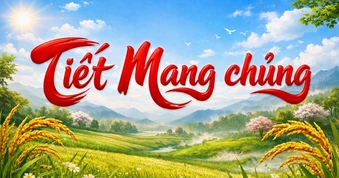 Lịch âm hôm nay 2.6: Thấy sao Tua Rua mọc, người Việt sắp đón tiết Mang chủng