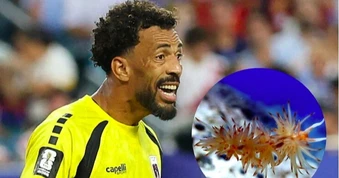 Loài sên biển mang tên thủ môn Cape Verde sau kỳ tích tại World Cup 2026