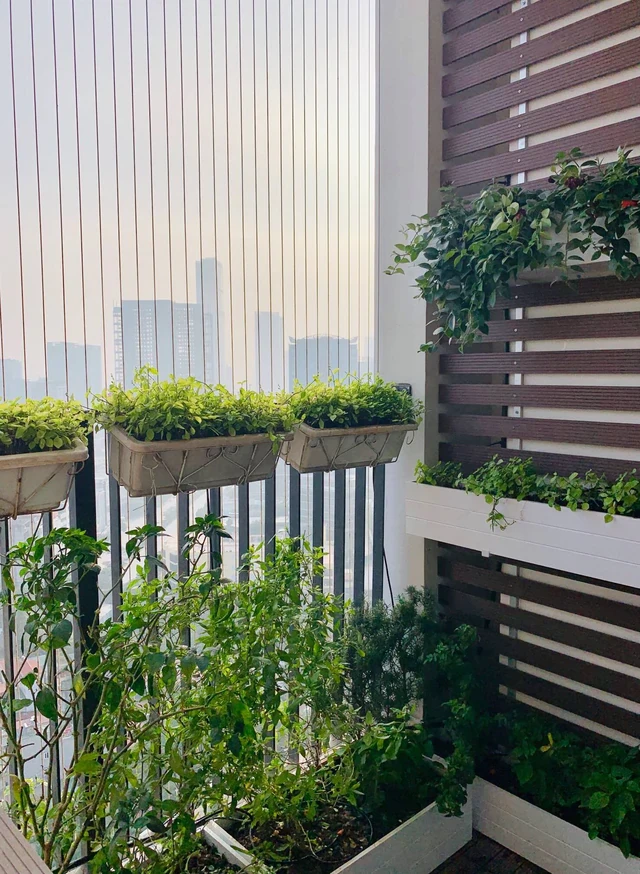 Lời khuyên cho các gia đình đang sống ở chung cư Lời khuyên cho các gia đình đang sống ở chung cư