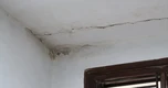 Lời khuyên cho các gia đình phát hiện vết nứt trên trần nhà