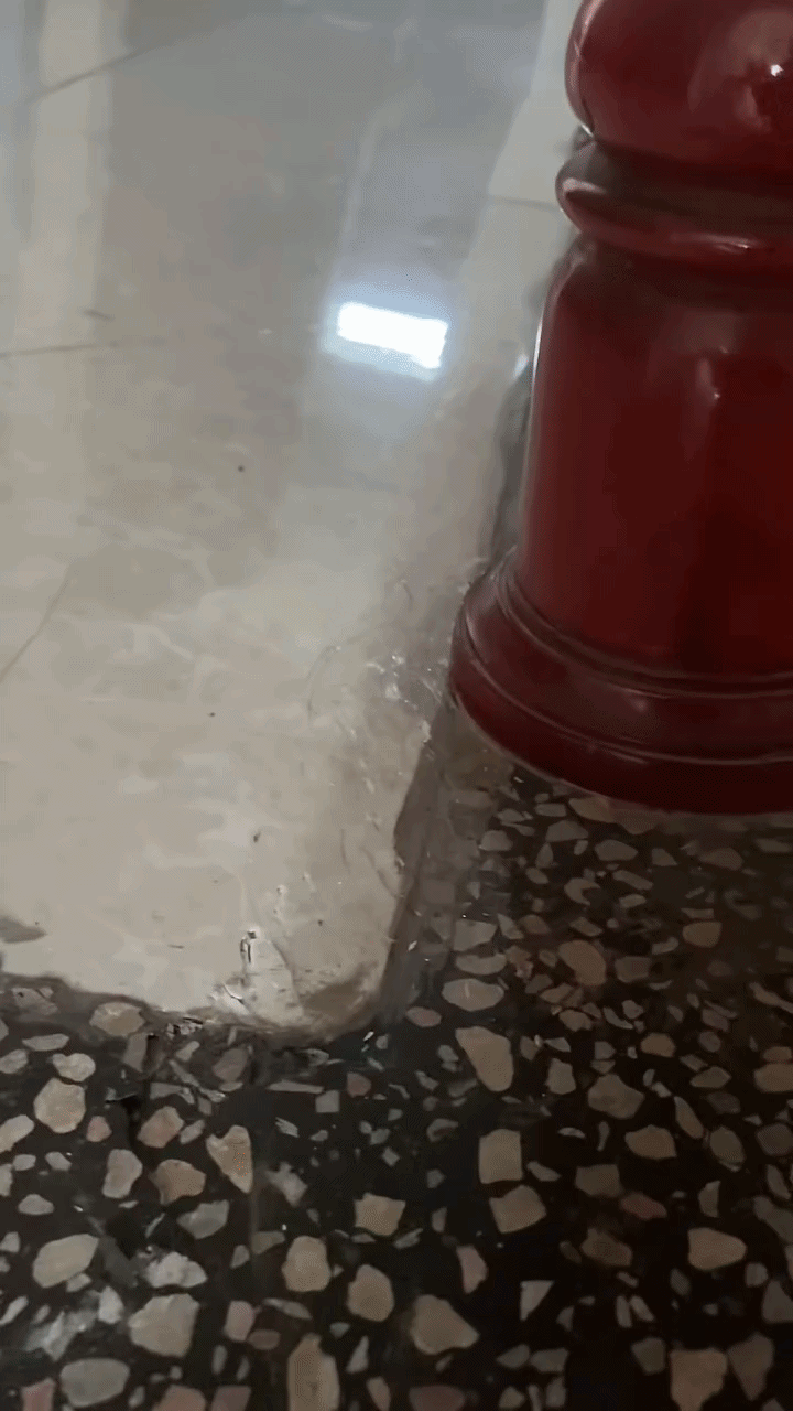 Lời khuyên cho gia đình có gạch lát nền bị phồng rộp, nứt vỡ