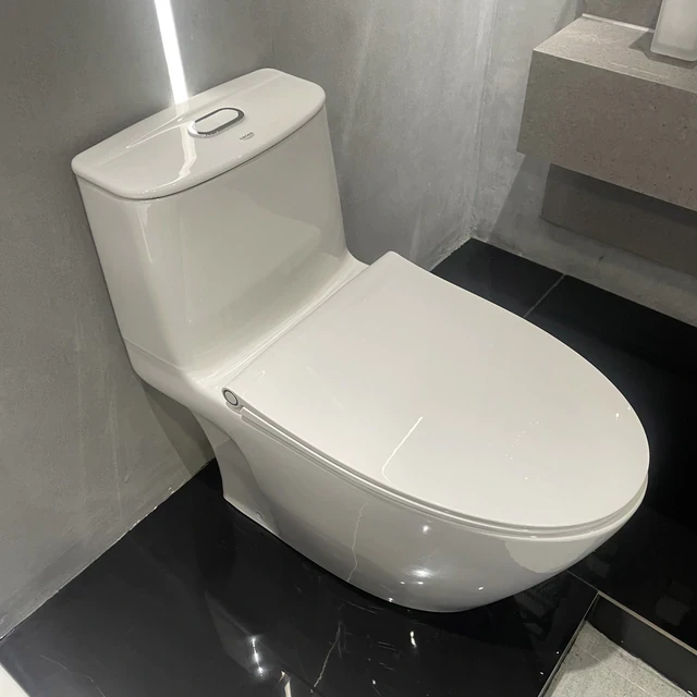 Lời khuyên cho gia đình không đậy nắp bồn cầu trước khi xả nước Lời khuyên cho gia đình không đậy nắp bồn cầu trước khi xả nước